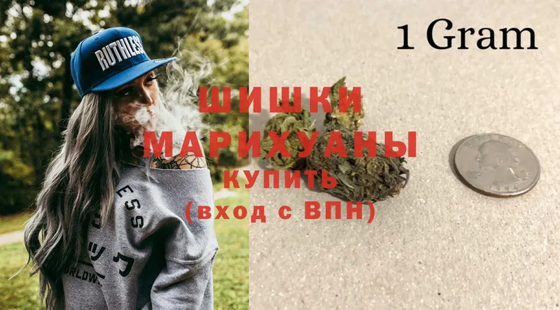 Бошки марихуана OG Kush  купить наркотики сайты  Выборг 